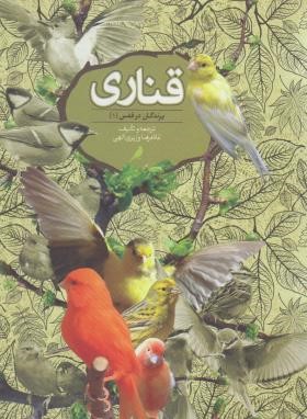 قناری (وزیری الهی/روزبهان)