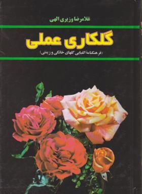 گلکاری عملی (وزیری الهی/روزبهان)