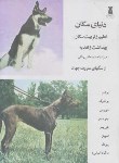کتاب دنیای سگان (تعلیم وتربیت سگ/بهبهانی/سلوفان/دژ)*