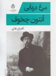 کتاب مرغ دریایی (نمایشنامه‏/چخوف‏/فانی‏/قطره)