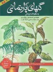 کتاب گل های آپارتمانی و مشاوره گیاه پزشکی (پیش بین/نوپردازان)