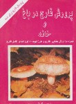 کتاب پرورش قارچ در باغ وخانه(حسنی زاده/پرتودانش)