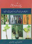 کتاب پیوند شاخه و جوانه (عبدالله خدیوی/ مرزدانش)