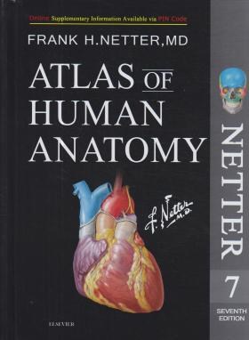 ATLAS OF HUMAN ANATOMY NETTER  EDI 7 SUNDERS (تحریر/قابدار/اندیشه رفیع)