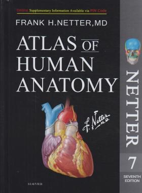 ATLAS OF HUMAN ANATOMY NETTER EDI 7 SUNDERS (تحریر/قابدار/اندیشه رفیع)