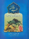 کتاب طب الائمه (شبر/موسوی/بقیه الله)