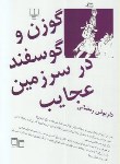 کتاب گوزن و گوسفند درسرزمین عجایب (رمضانی/چشمه)