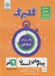 کتاب پیام های آسمان نهم (گلبرگ/گل واژه)