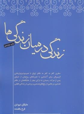 زندگی در میان زندگی ها (مایکل نیوتن/بافنده/صبح صادق)