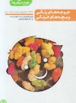 کتاب من دیگر ما ج1 (جوجه های رنگی و بچه های فرنگی/آیین فطرت)