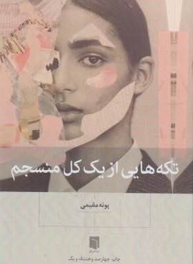 تکه هایی از یک کل منسجم (مقیمی/بینش نو)