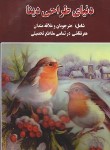 کتاب دنیای طراحی دینا (ذوالفقاری/رحلی/شهرزاد)