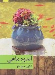 کتاب اندوه ماهی (تکین حمزه لو/برکه خورشید)