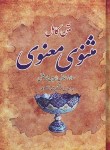 کتاب مثنوی معنوی (مولوی/نیکلسون/قابدار/آکادمی کتاب)