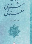 کتاب در شناخت مثنوی معنوی (سالاری نسب/فرهنگ معاصر)