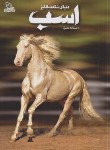 کتاب دانشنامه مصور دنیای شگفت انگیز اسب (کلاتن/شوشتری زاده/برگ زیتون)