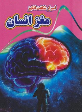 اسرار شگفت انگیز مغز انسان (کرباسی/نارنج)