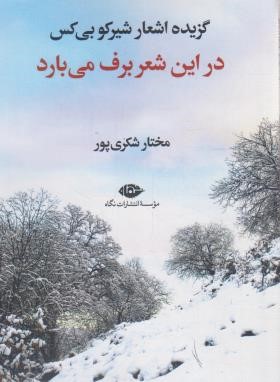 گزیده اشعار شیرکو بی کس (در این شعر برف می بارد/شکری پور/نگاه)