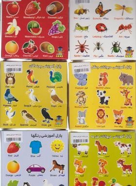 پازل 6 تکه آموزشی (حیوانات جنگل/رنگ ها/پرندگان/میوه ها/حیوانات مزرعه/حشرات/بوفلند)