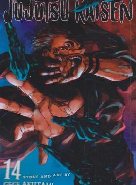 JUJUTSU KAISEN 14 MANGA (وارش)