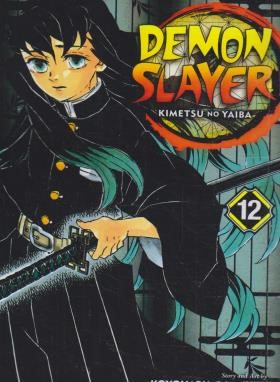 DEMON SLAYER 12 MANGA (وارش)
