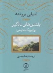 کتاب بلندی های بادگیر (امیلی برونته/رضایی/شمیز/نی)