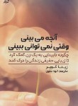 کتاب آنچه می بینی وقتی نمی توانی ببینی (زینا کوپر/علوی/اندیشه مولانا)