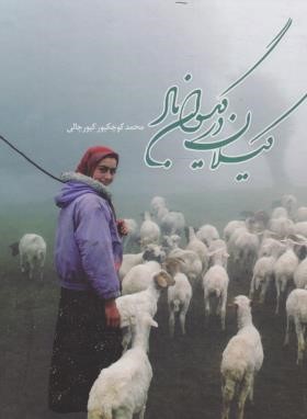 گیلان در گیسوان باد (مجموعه عکس/کوچکپور/فرهنگ ایلیا)