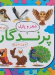 کتاب شعر و پازل 4 (پرندگان/علوم آریا)