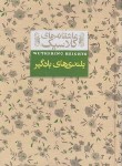 کتاب بلندی های بادگیر (امیلی برونته/ابراهیمی/جیبی/سلوفان/افق)