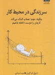 کتاب سر زندگی در محیط کار (دنیل کیبل/صباغی/میلکان)