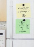 کتاب مدیریت پروژه برای غیر مدیر پروژه (کوگن/آریاناقلم)
