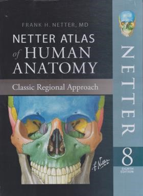 ATLAS OF HUMAN ANATOMY NETTER EDI 8  SUNDERS (تحریر/ابن سینا)